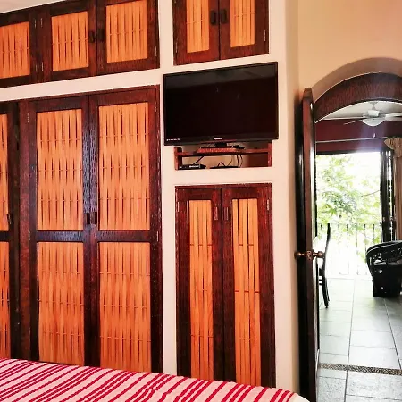 Ceiba Studios